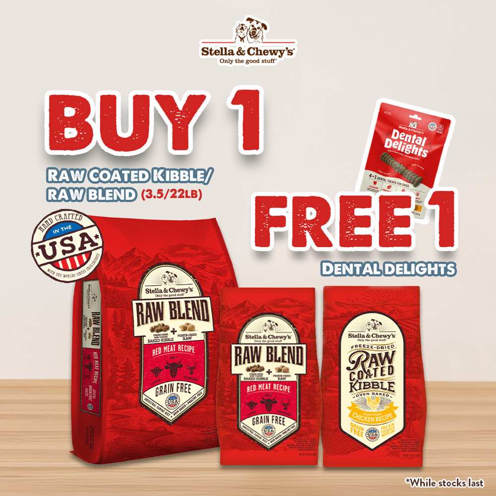 'FREE DENTAL TREATS': Stella & Chewy's Freeze-Dried Raw Coated Kibble Chicken Grain-Free Dry Dog Food