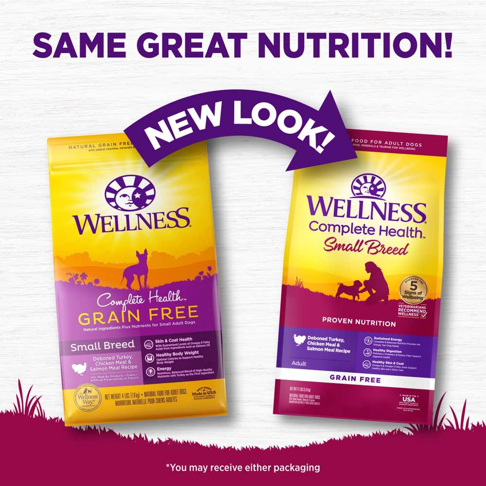 "'$11 OFF 4lb/BUNDLE DEAL': Wellness Complete Health Turkey, Chicken & Salmon Small Breed Adult Grain Free Dry Dog Food"