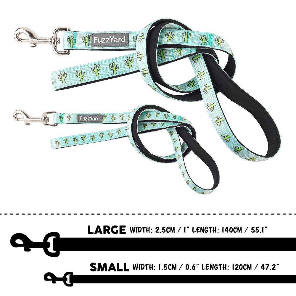 FuzzYard Dog Leash (Tucson)