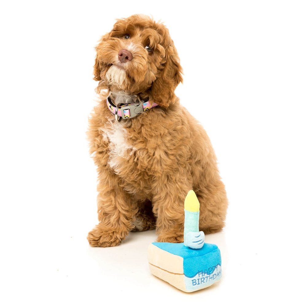 FuzzYard Birthday Cake Plush Dog Toy