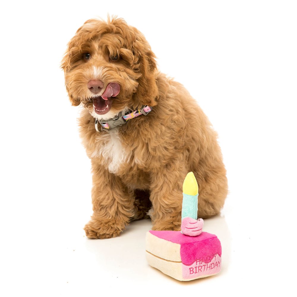 FuzzYard Birthday Cake Plush Dog Toy